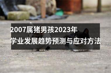 2007属猪男孩2025年学业发展趋势预测与应对方法