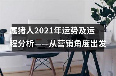 属猪人2025年运势及运程分析——从营销角度出发