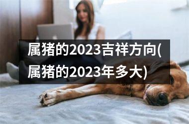 属猪的2025吉祥方向(属猪的2025年多大)