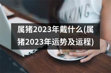 属猪2025年戴什么(属猪2025年运势及运程)