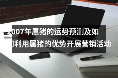 2007年属猪的运势预测及如何利用属猪的优势开展营销活动