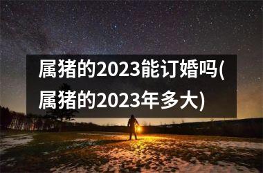 属猪的2025能订婚吗(属猪的2025年多大)