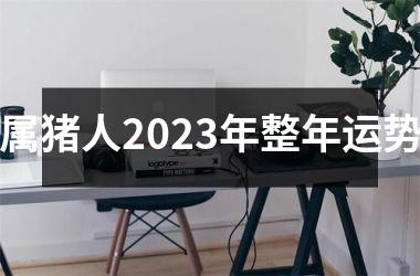 属猪人2025年整年运势