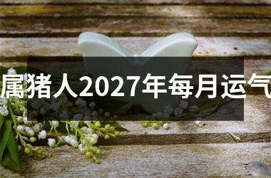 属猪人2027年每月运气