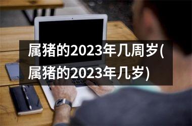 属猪的2025年几周岁(属猪的2025年几岁)