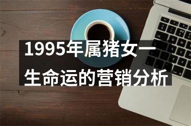 1995年属猪女一生命运的营销分析