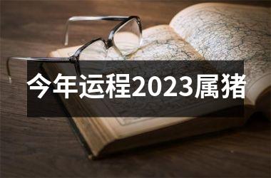 <h3>今年运程2025属猪