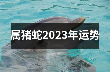 属猪蛇2025年运势