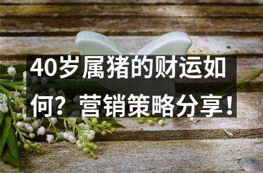 40岁属猪的财运如何？营销策略分享！