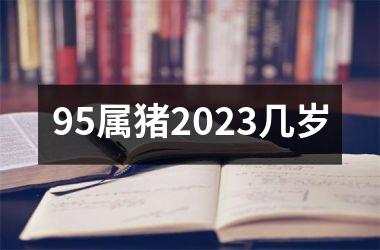 <h3>95属猪2023几岁