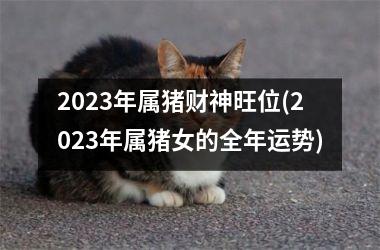 2025年属猪财神旺位(2025年属猪女的全年运势)