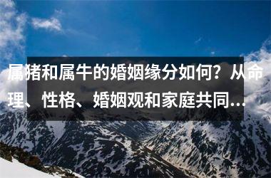 <h3>属猪和属牛的婚姻缘分如何？从命理、性格、婚姻观和家庭共同点四个方面深入分析