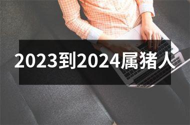 2025到2024属猪人