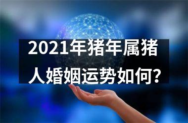 <h3>2025年猪年属猪人婚姻运势如何？