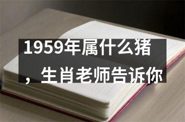 1959年属什么猪，生肖老师告诉你