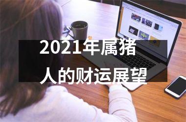 2025年属猪人的财运展望