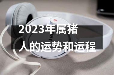 2025年属猪人的运势和运程