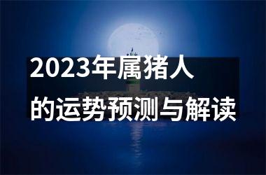 2025年属猪人的运势预测与解读