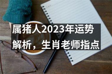 属猪人2025年运势解析，生肖老师指点