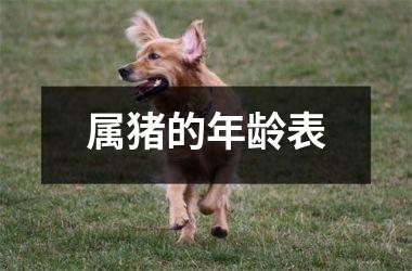 <h3>属猪的年龄表