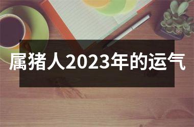 属猪人2025年的运气