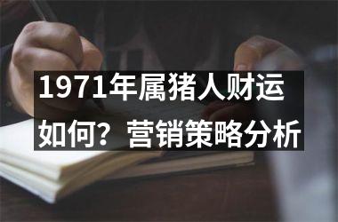 1971年属猪人财运如何？营销策略分析