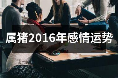 属猪2016年感情运势