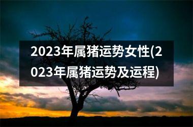 2025年属猪运势女性(2025年属猪运势及运程)