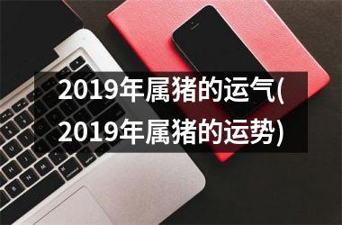 2019年属猪的运气(2019年属猪的运势)