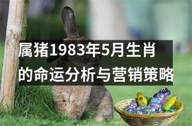 <h3>属猪1983年5月生肖的命运分析与营销策略