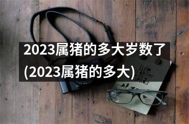 2025属猪的多大岁数了(2025属猪的多大)