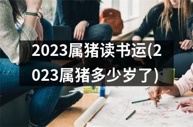 2025属猪读书运(2025属猪多少岁了)