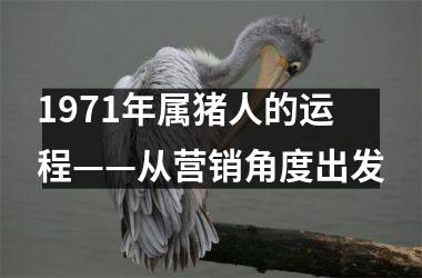 1971年属猪人的运程——从营销角度出发