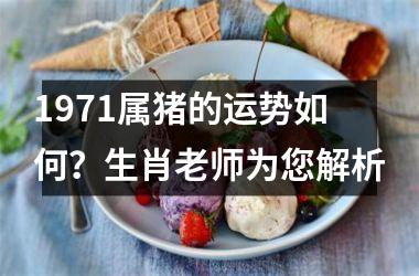 1971属猪的运势如何？生肖老师为您解析