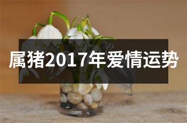 属猪2017年爱情运势