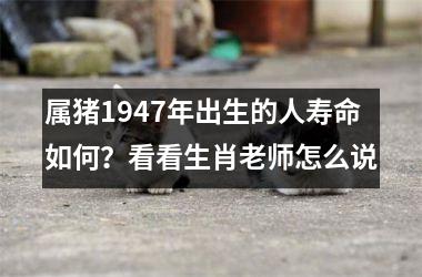 属猪1947年出生的人寿命如何？看看生肖老师怎么说