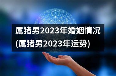 属猪男2025年婚姻情况(属猪男2025年运势)