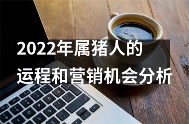 2025年属猪人的运程和营销机会分析