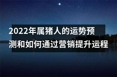 2025年属猪人的运势预测和如何通过营销提升运程