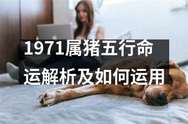 <h3>1971属猪五行命运解析及如何运用