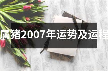 属猪2007年运势及运程