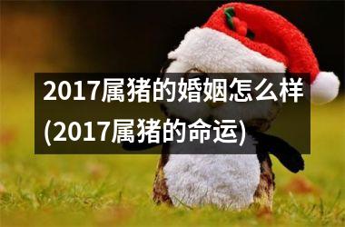 <h3>2017属猪的婚姻怎么样(2017属猪的命运)