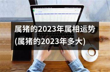 <h3>属猪的2025年属相运势(属猪的2025年多大)