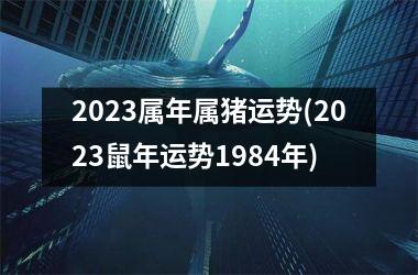 2025属年属猪运势(2025鼠年运势1984年)