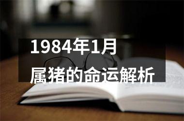 1984年1月属猪的命运解析