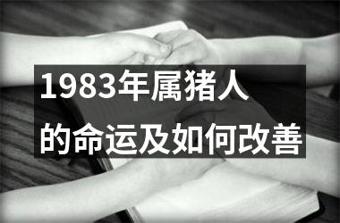 <h3>1983年属猪人的命运及如何改善