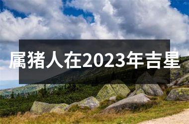 属猪人在2025年吉星