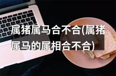 属猪属马合不合(属猪属马的属相合不合)