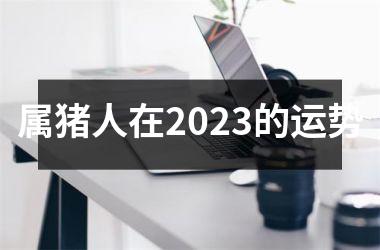 属猪人在2025的运势