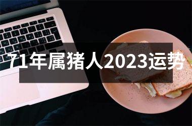 71年属猪人2025运势